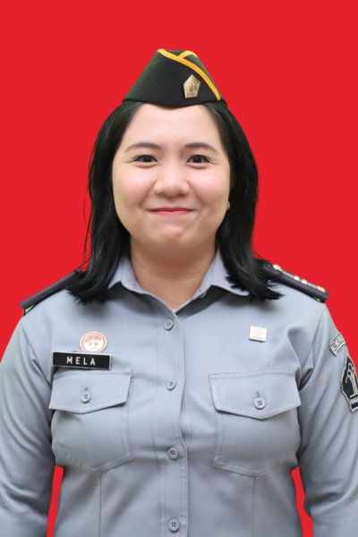 Ketua Tim Kerja Bidang/Bagian Pengelolaan Barang Milik Negara (BMN)
