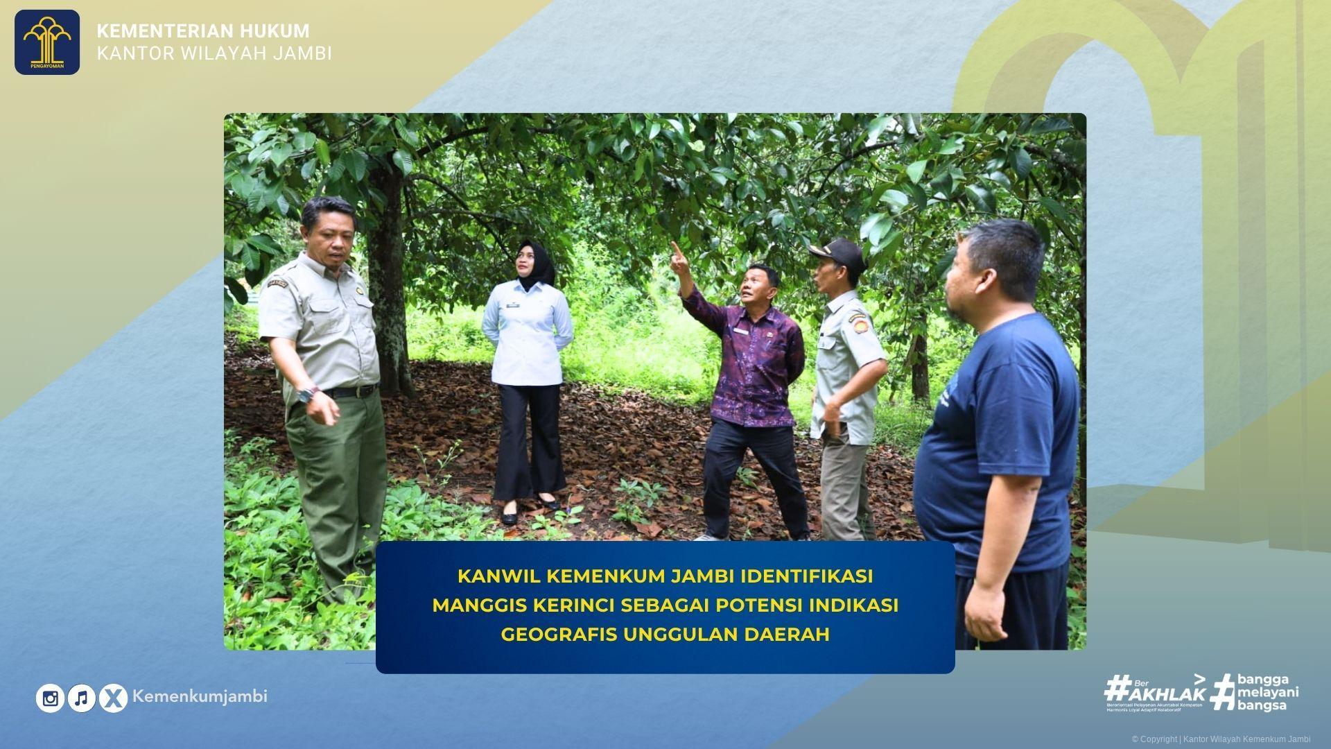 mpig_manggis_kerinci_1.jpg